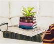 Harry Potter Book Stack 3-Inch Ceramic Planter With Artificial Succulent
