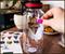 Harry Potter Quidditch 32-Ounce Water Bottle and Sticker Set