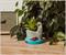 JAWS Shark 4-Inch Ceramic Mini Planter With Artificial Succulent