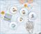 Sanrio Hello Kitty Skeleton Web 9-Inch Ceramic Coupe Dinner Bowl