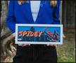 Marvel Spider-Man 12 x 5 Inch Framed MDF Wall Art