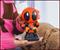 Marvel Chibi Deadpool Ceramic Money Bank