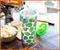 Teenage Mutant Ninja Turtles Allover Faces Carnival Cup With Lid and Straw