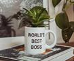 The Office Worlds Best Boss Mini Ceramic Planter with Artificial Plant