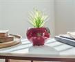 The Office Schrute Farms Rustic 8.25 x 4.5 Inch Ceramic Planter w/Artificial Plant