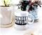 The Office Dunder Mifflin "World's Best Boss" Ceramic Mug | Holds 20 Ounces