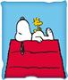 Peanuts Snoopy & Woodstock 45 x 60 Inch Fleece Throw Blanket