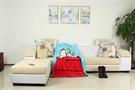 Peanuts Snoopy & Woodstock 45 x 60 Inch Fleece Throw Blanket