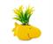 Peanuts Woodstock Ceramic Planter w/ Artificial Plant 3x5x5.5"