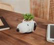 Peanuts Snoopy Face Ceramic Mini Planter with Artificial Succulent