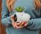 Peanuts Snoopy Face Ceramic Mini Planter with Artificial Succulent