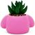 Sanrio My Melody 3-Inch Ceramic Mini Planter With Artificial Succulent
