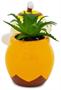 Sanrio Pompompurin Honey Pot Ceramic Mini Planter With Artificial Succulent