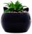 Sanrio Badtz-Maru 3-Inch Ceramic Mini Planter With Artificial Succulent