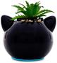 Sanrio Chococat 3-Inch Ceramic Mini Planter With Artificial Succulent