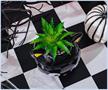 Sanrio Chococat 3-Inch Ceramic Mini Planter With Artificial Succulent