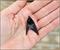 Star Trek: The Original Series Delta Starfleet Command Enamel Pin