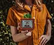 Stranger Things Missing Barb 4-Inch Ceramic Mini Planter With Artificial Succulent