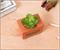 Stranger Things Missing Barb 4-Inch Ceramic Mini Planter With Artificial Succulent