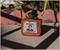 Stranger Things Missing Barb 4-Inch Ceramic Mini Planter With Artificial Succulent