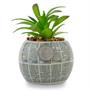 Star Wars Death Star 3-Inch Ceramic Mini Planter With Artificial Succulent