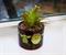 Star Wars: The Mandalorian The Child Ceramic Planter with Artificial Succulent