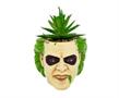 Beetlejuice Head 3-Inch Ceramic Mini Planter with Artificial Succulent