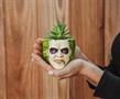Beetlejuice Head 3-Inch Ceramic Mini Planter with Artificial Succulent