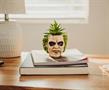Beetlejuice Head 3-Inch Ceramic Mini Planter with Artificial Succulent