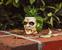 Beetlejuice Head 3-Inch Ceramic Mini Planter with Artificial Succulent