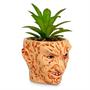 A Nightmare On Elm Street Freddy Krueger Ceramic Planter w/ Artificial Succulent