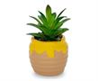 Disney Winnie The Pooh Hunny Pot Ceramic Mini Planter with Artificial Succulent