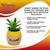Disney Winnie The Pooh Hunny Pot Ceramic Mini Planter with Artificial Succulent