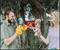 Horror Reachers Pumpkinhead 13-Inch Boxing Puppet Toy | Toynk Exclusive