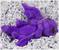 Little Embers 7 Inch Plush w/ Moveable Limbs & Magnetic Hands | Cinder (Purple)