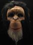Chimpanzee Costume Half Face Mask Adult