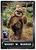 Star Wars ROTJ 40th Anniversary 2023 Topps Card #9 | Wicket W Warrick