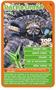 Deadliest Predators Top Trumps Card Game