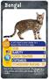 Cats Top Trumps Card Game