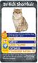 Cats Top Trumps Card Game