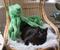 Tentacle Kitty Series Cat Guru Plush Collectible | Measures 28 Inches Long