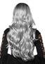 Silver Black Ombre Adult Costume Wig