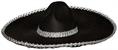 Sombrero with Silver Metallic Trim Adult Costume Hat