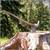Silver Fireman's Axe 30 Inch Foam Adult Costume Accessory