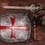 Medieval Shield 20 Inch Foam Adult Costume Accessory