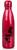 Harley Quinn Stainless Steel Vacuum Hot or Cold Insulated Water Bottle, 17oz