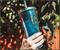 Disney Aladdin "Make A Wish" Reusable Carnival Cup with Lid and Straw | Holds 16 Ounces
