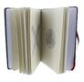 Harry Potter Quidditch Journal