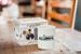 Harry Potter House Ravenclaw Alumni 11-Oz Ceramic Mug