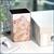Cat In A Box Storage Tin | Metal Food Storage Container | Perfect For Cat Treats